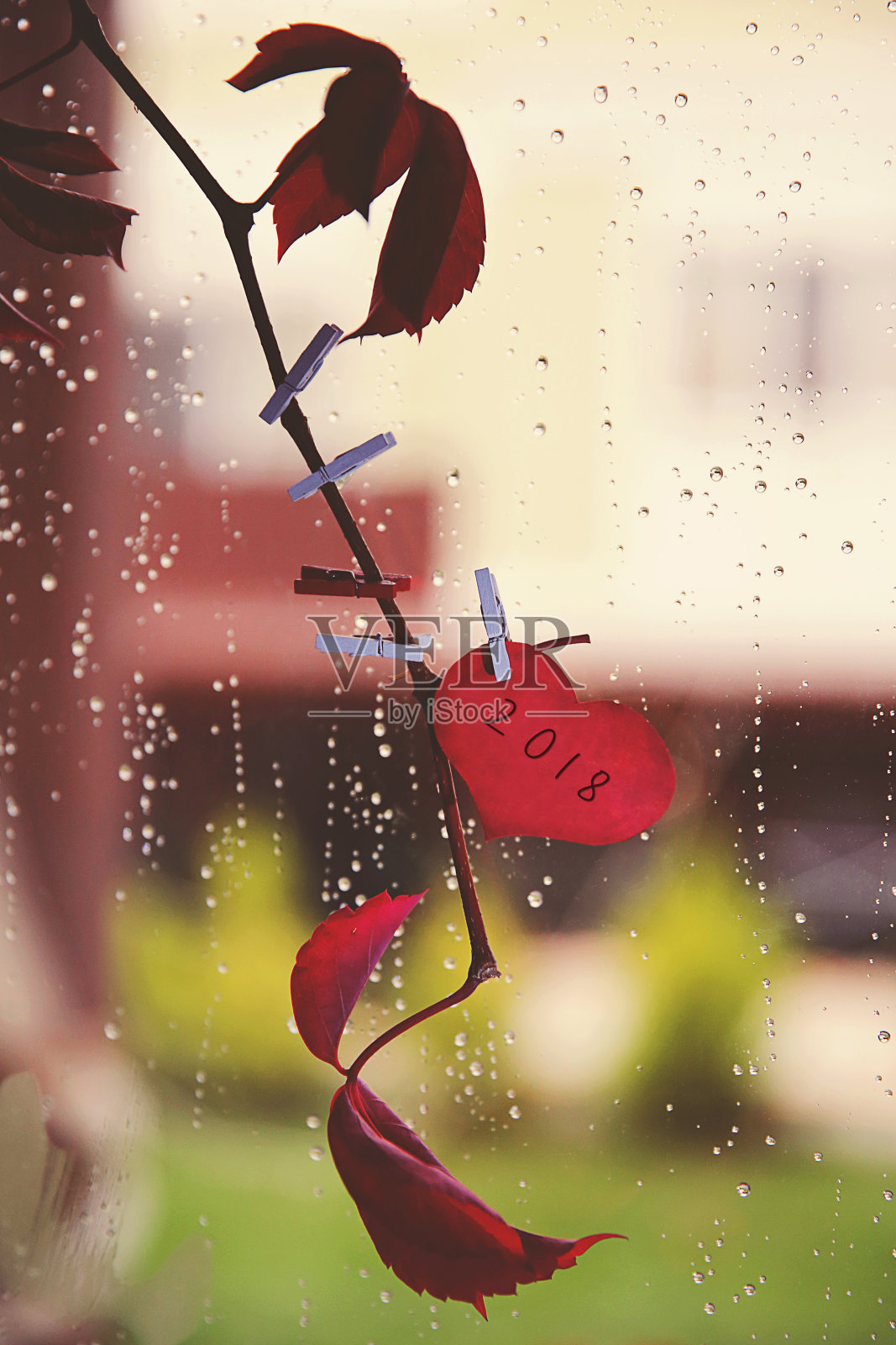 秋季户外场景与2018年新年纸条照片摄影图片