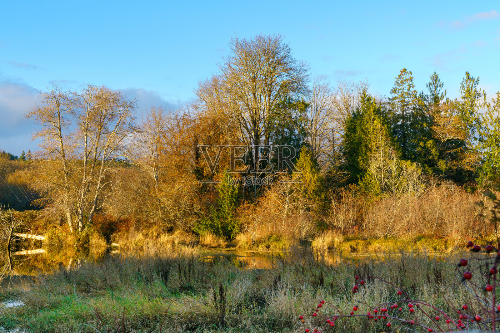 胡子湾照片摄影图片