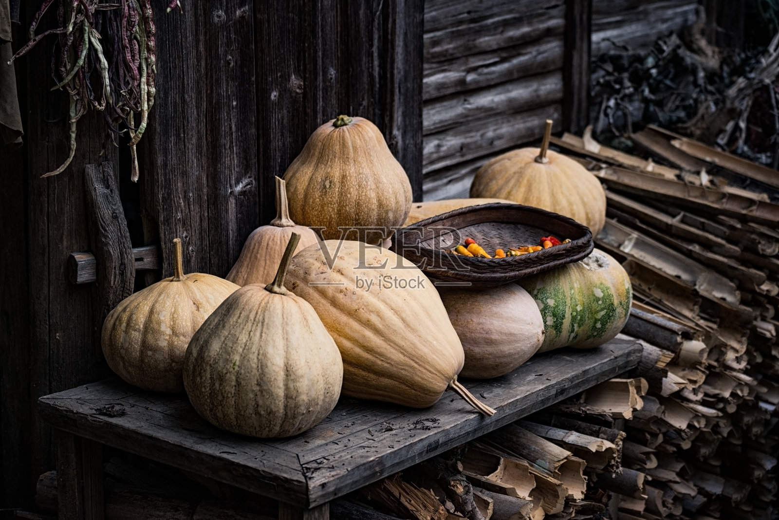 零照片摄影图片