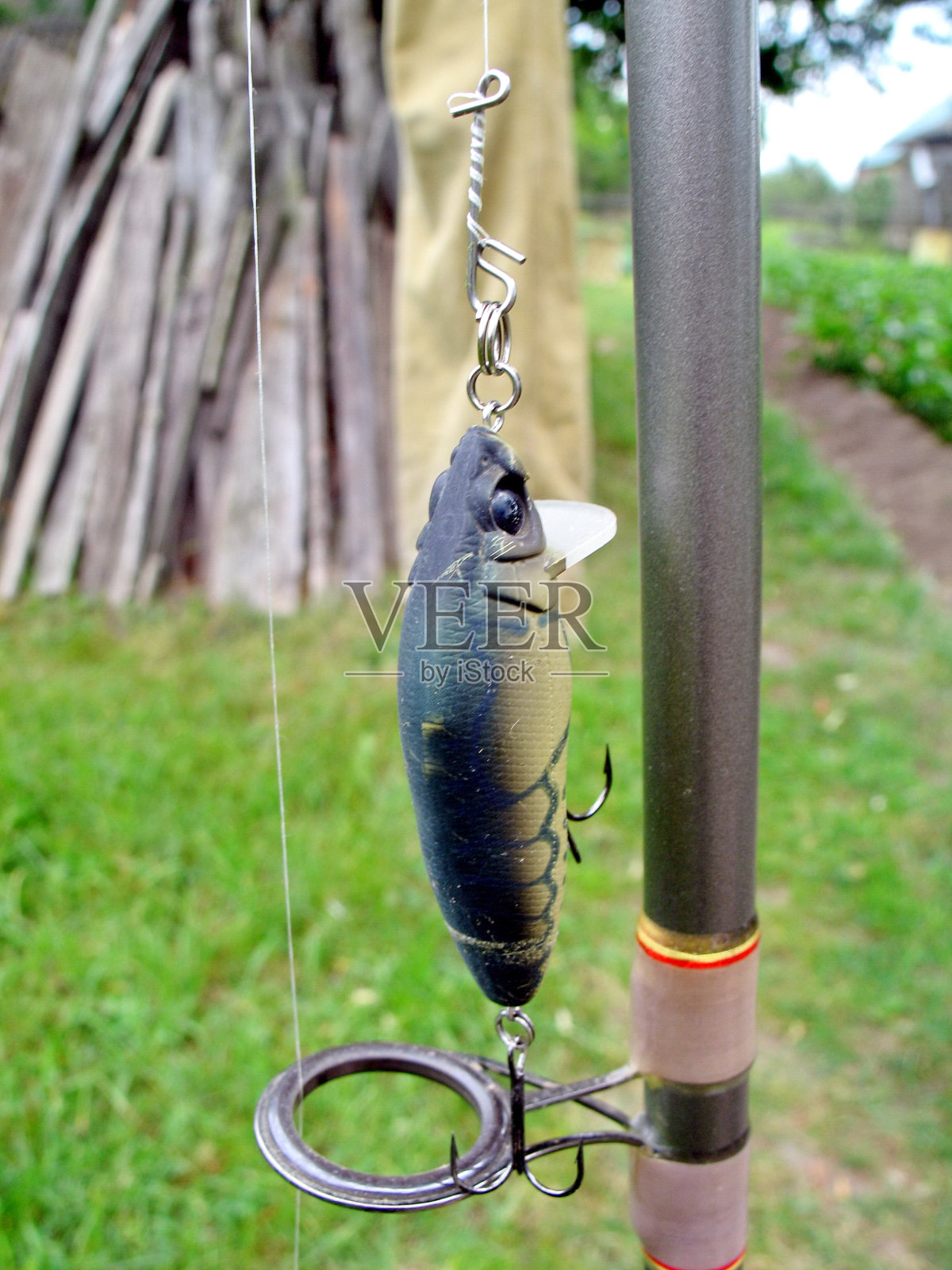 钓鱼梅花头旋转照片摄影图片