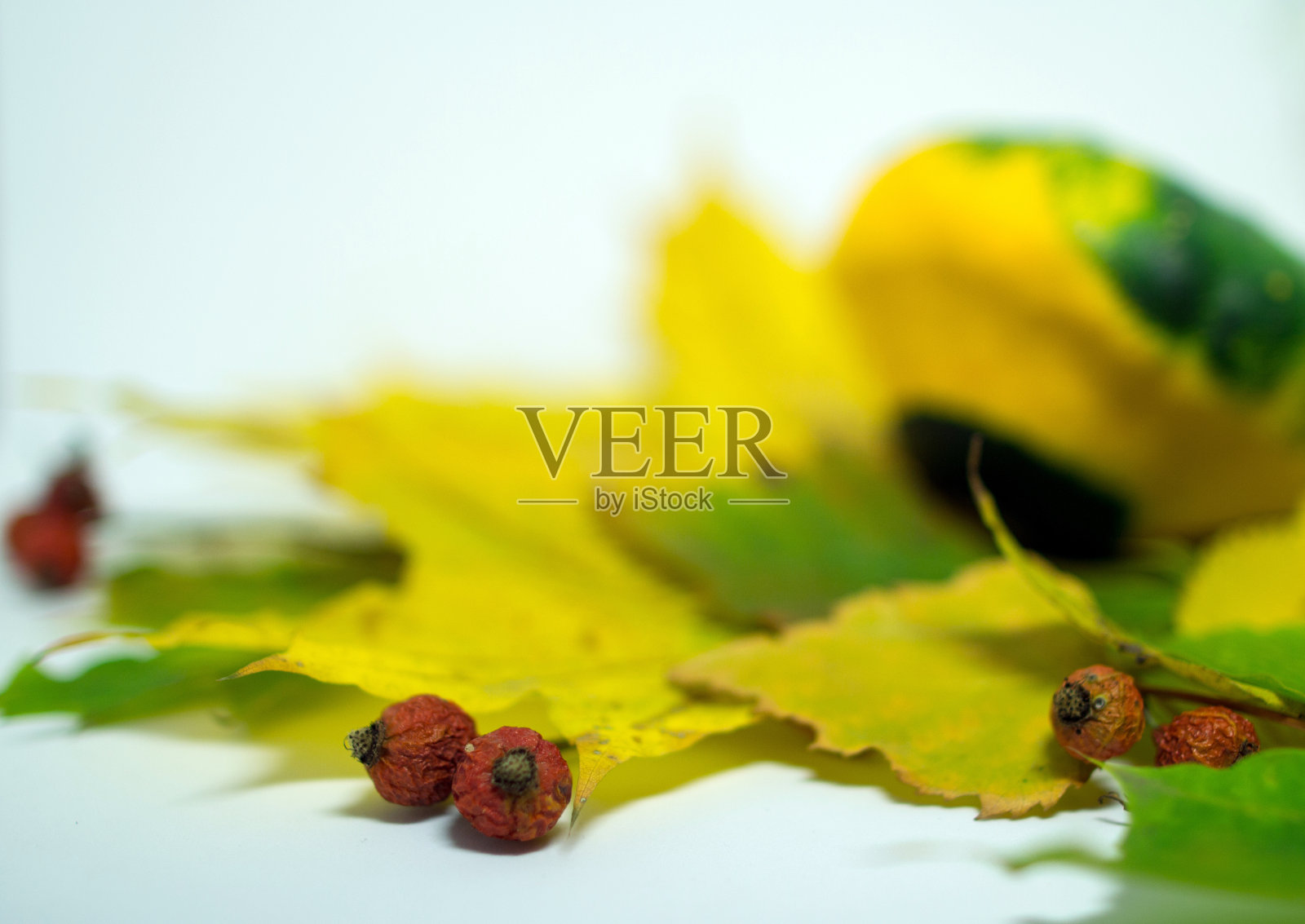 蔬菜和浆果在秋天的叶子上照片摄影图片