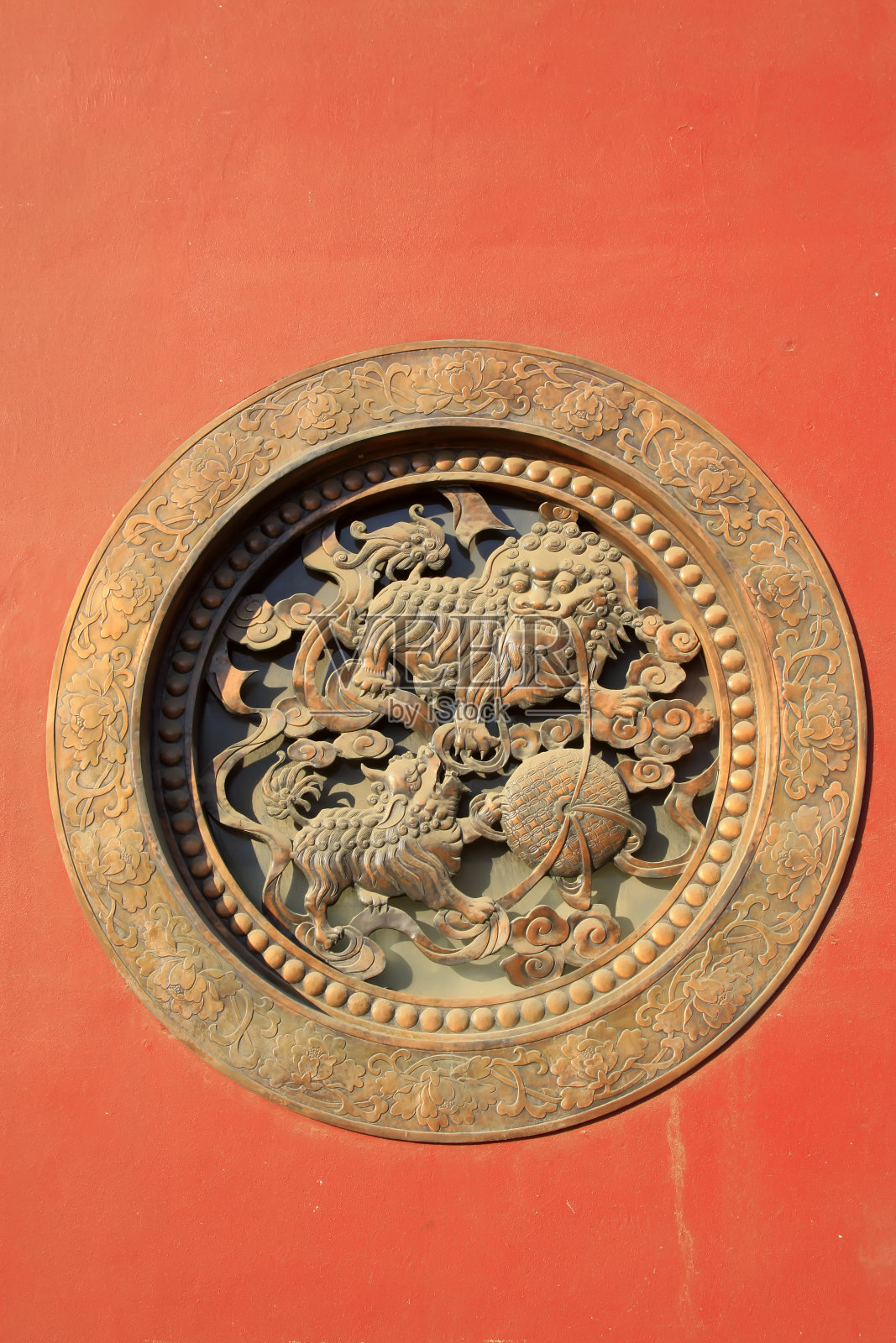 狮子造型格在墙上，特写照片照片摄影图片