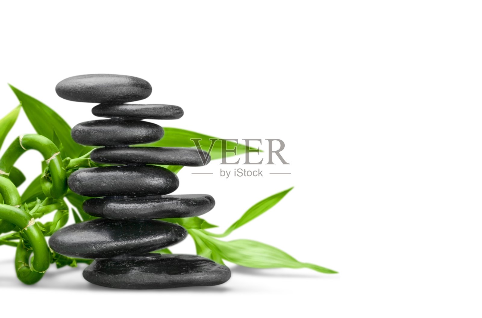 竹子。照片摄影图片