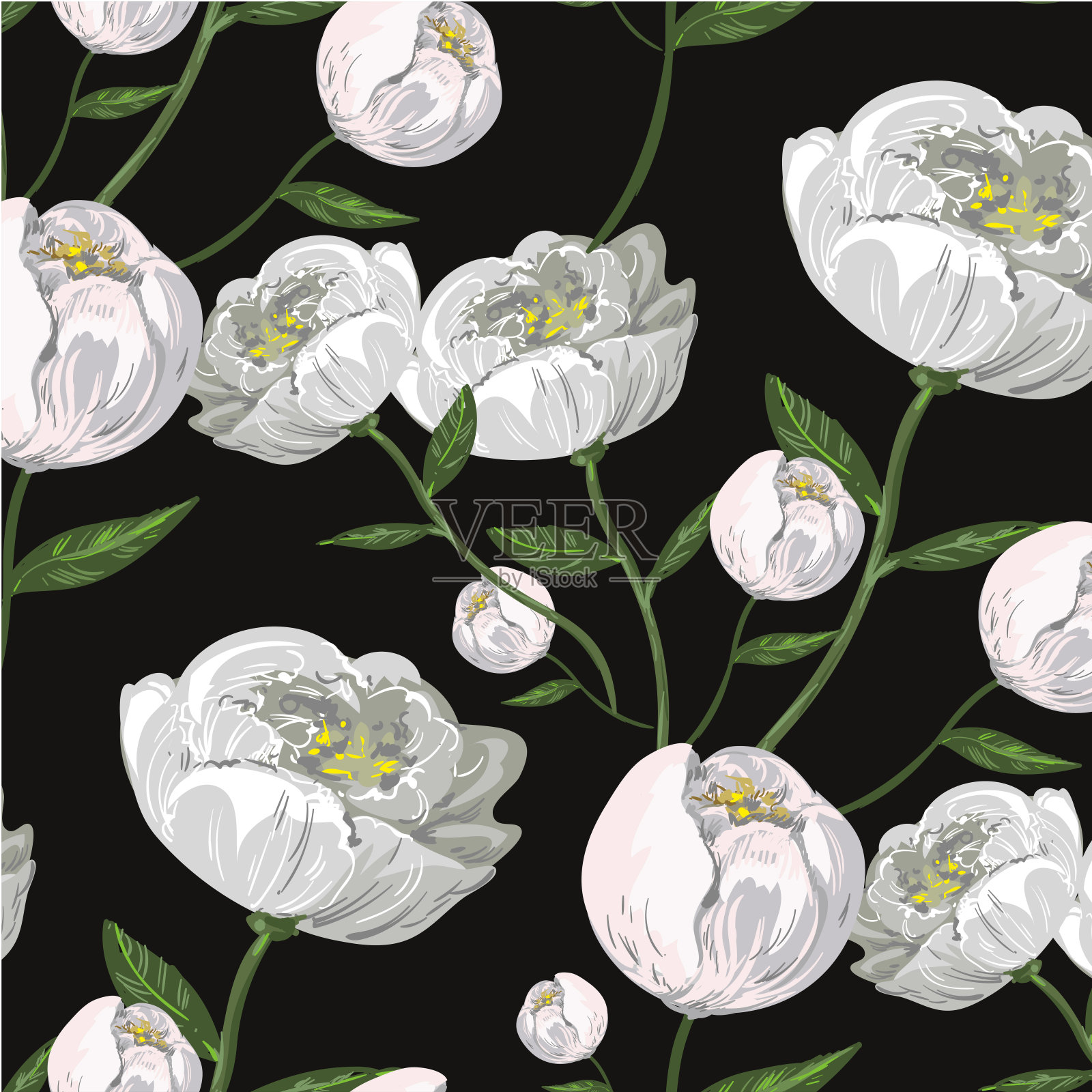 白色牡丹现实无缝图案上黑色背景打印包装插画图片素材