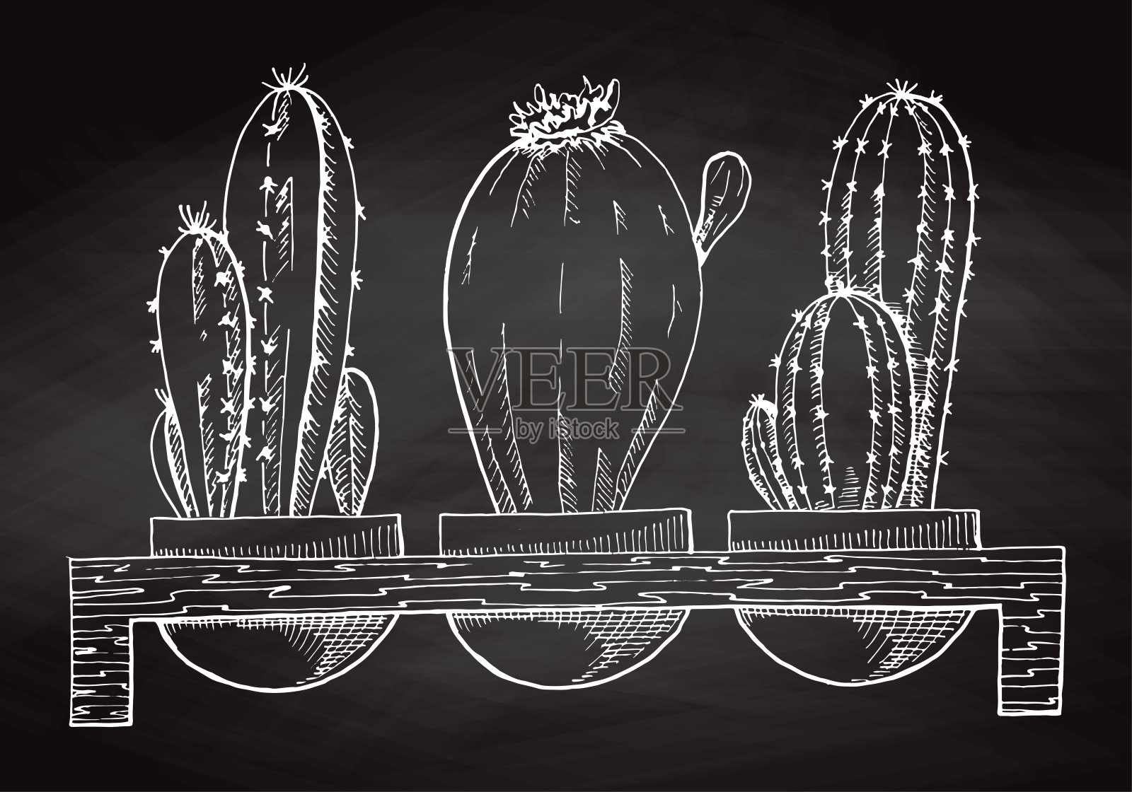 在黑板上单独的木架上画三盆多肉植物。矢量插图。设计元素图片