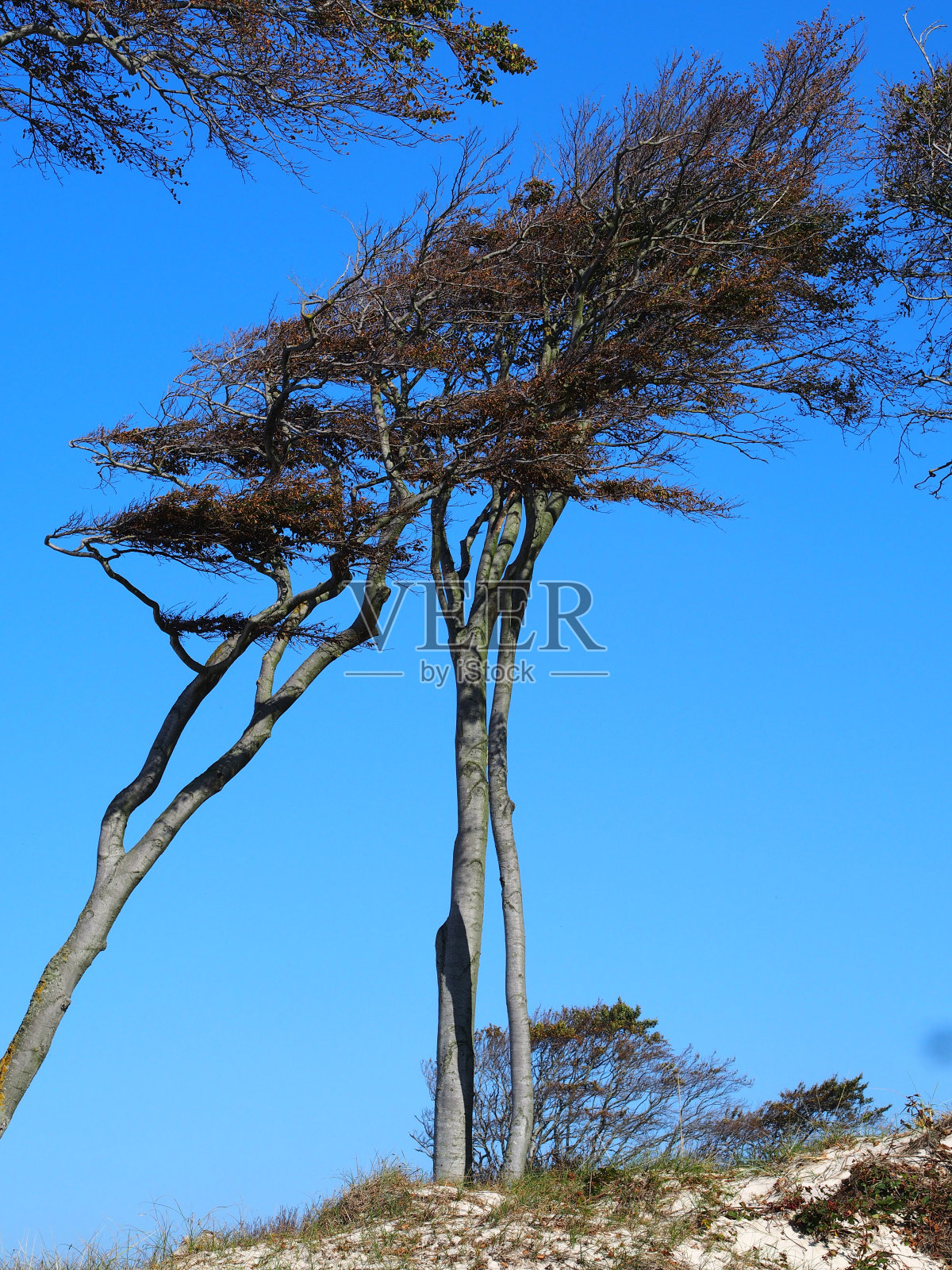 沙漠风暴终结者照片摄影图片