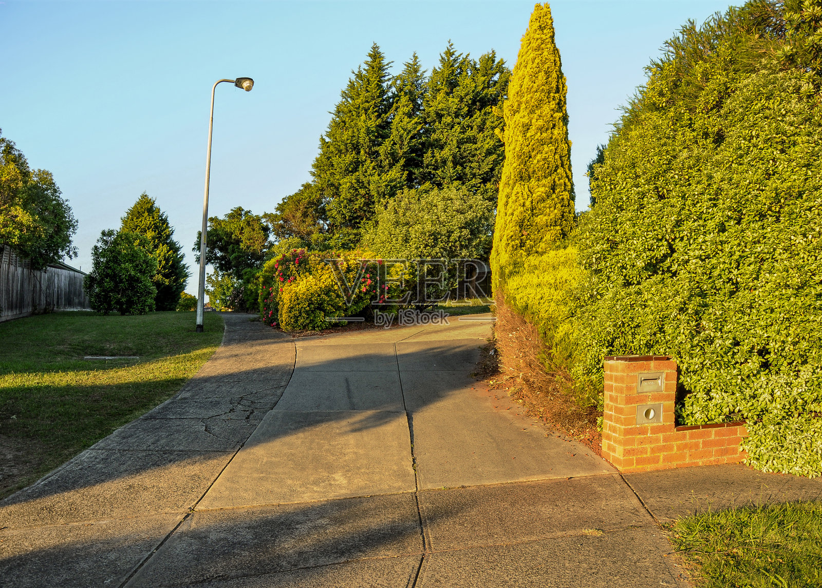 哈勒姆的一个温暖的夏夜。照片摄影图片
