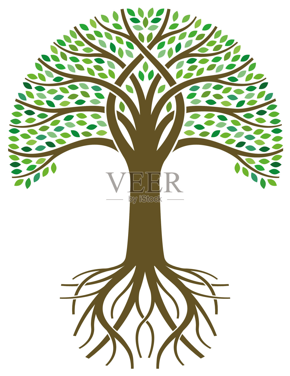 大圆树与根插图设计元素图片