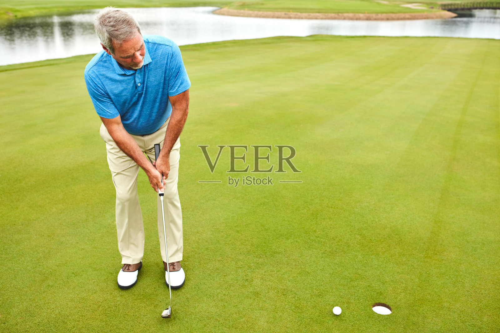 舒适的上和周围的绿色照片摄影图片