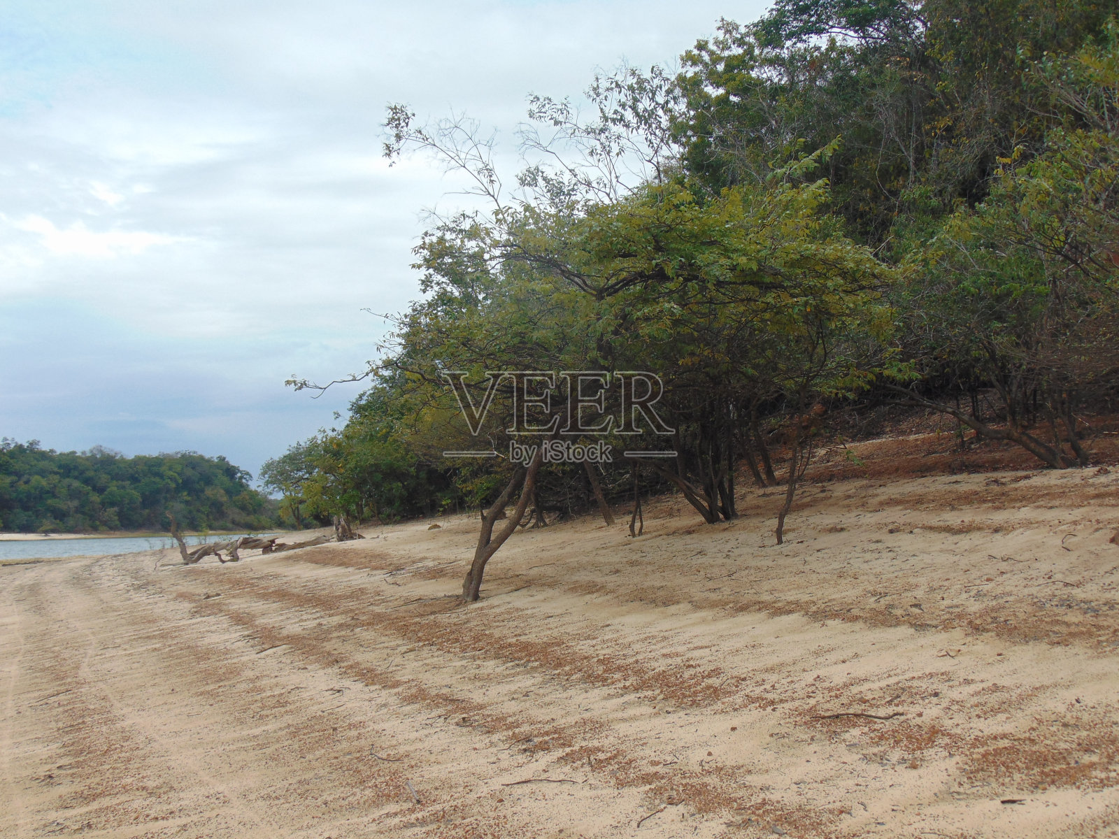 圣塔伦-亚马逊-帕拉-巴西照片摄影图片