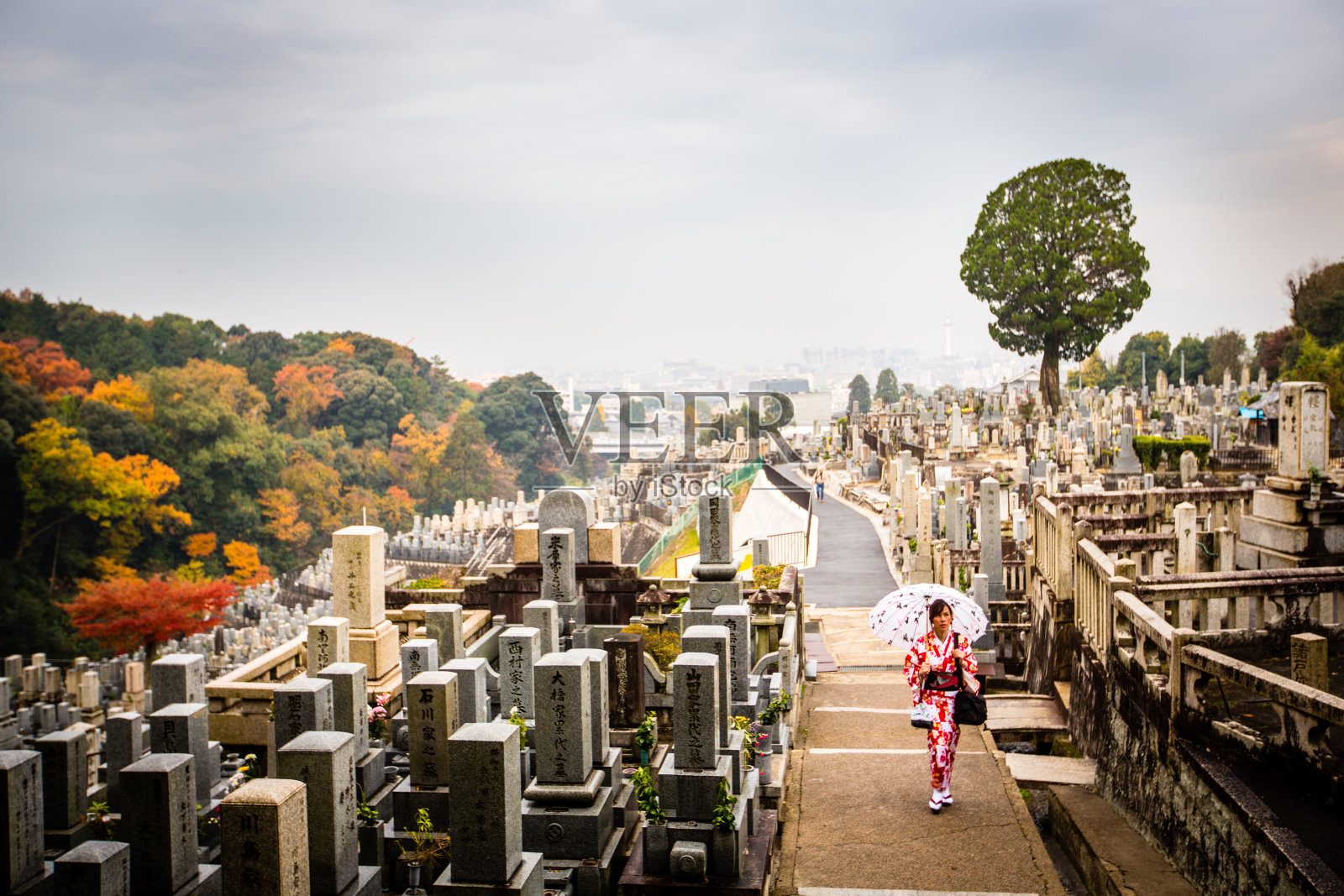 日本停靠照片摄影图片
