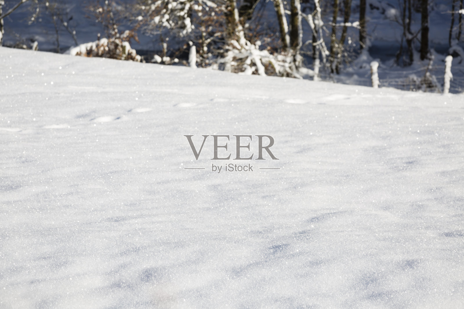 德国艾菲尔山谷的闪闪发光的雪照片摄影图片