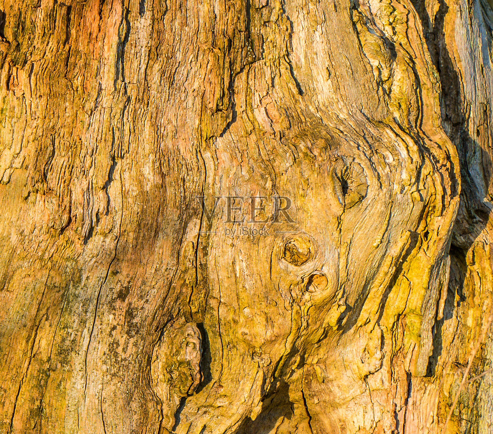 Herbst印象照片摄影图片