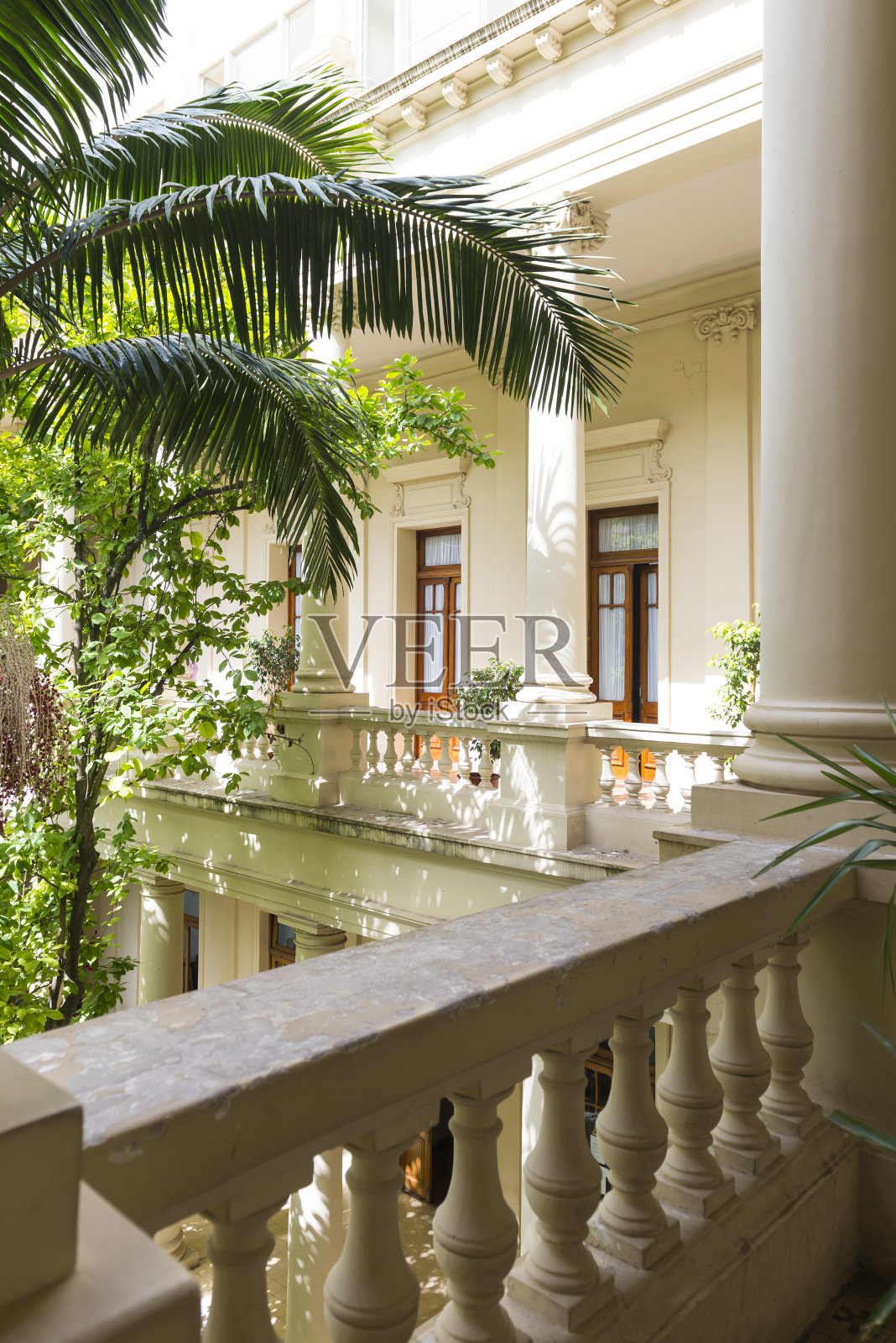 -阿根廷圣萨尔瓦多-枣y照片摄影图片