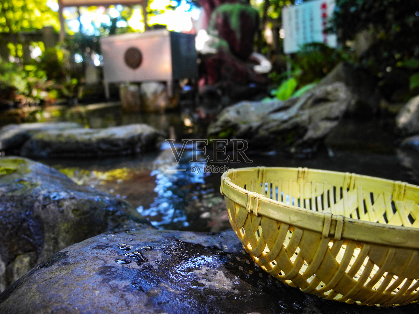 在水边的鲑鱼照片摄影图片