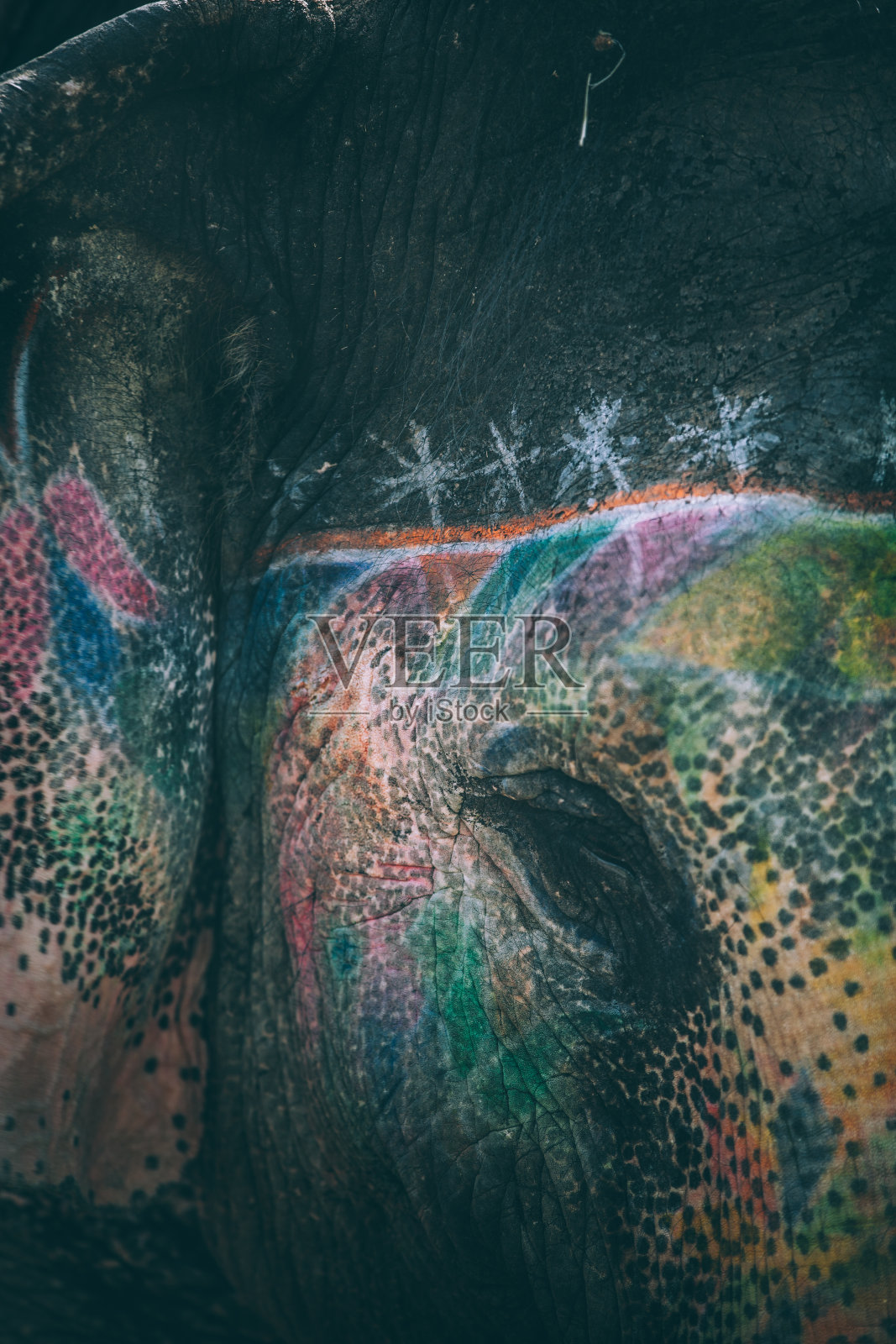 大象的脸彩绘装饰。印度拉贾斯坦邦斋浦尔照片摄影图片