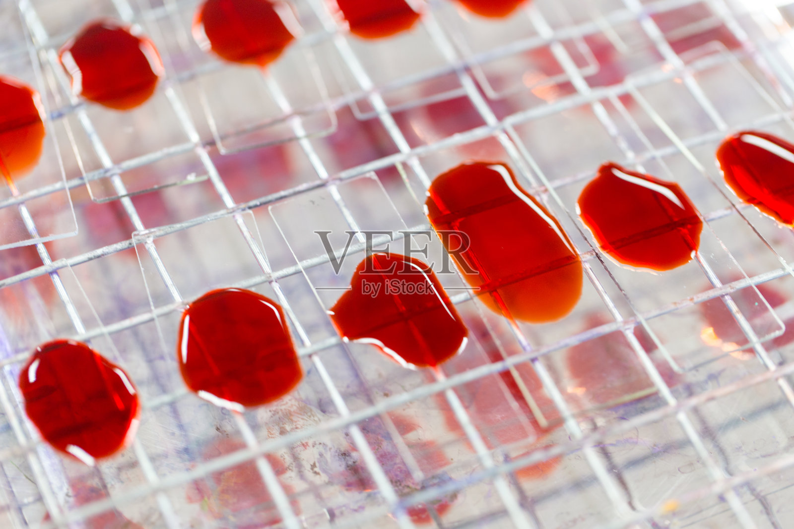 大肠杆菌(e.c oli)是一种革兰氏阴性，兼性厌氧，杆状大肠杆菌属细菌，常见于温血微生物(恒温微生物)的小肠照片摄影图片