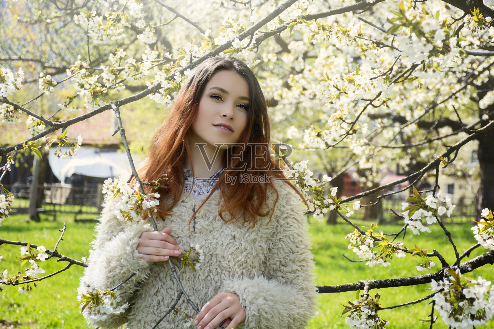 春天灌木丛背景上的美丽女孩照片摄影图片
