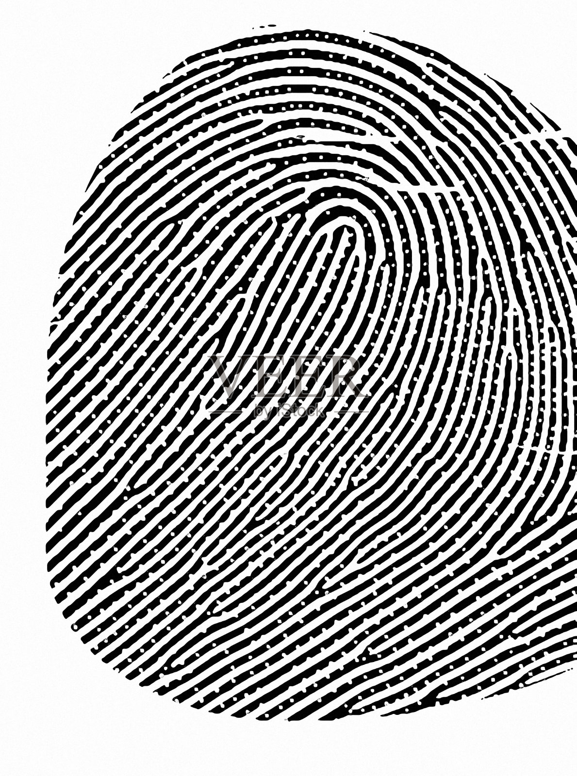 指纹纹理5照片摄影图片