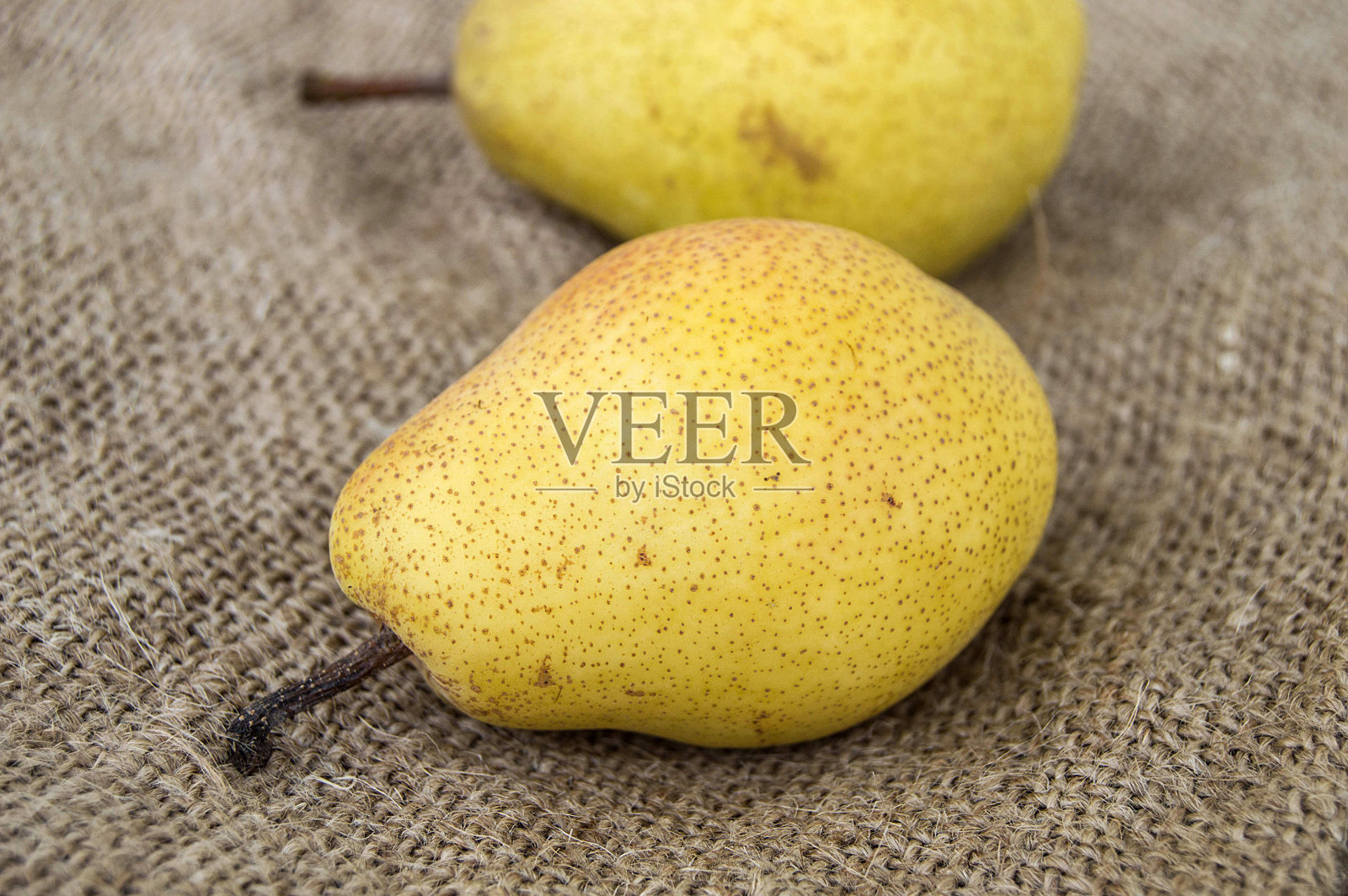 吃梨养生，纯天然的梨，照片摄影图片