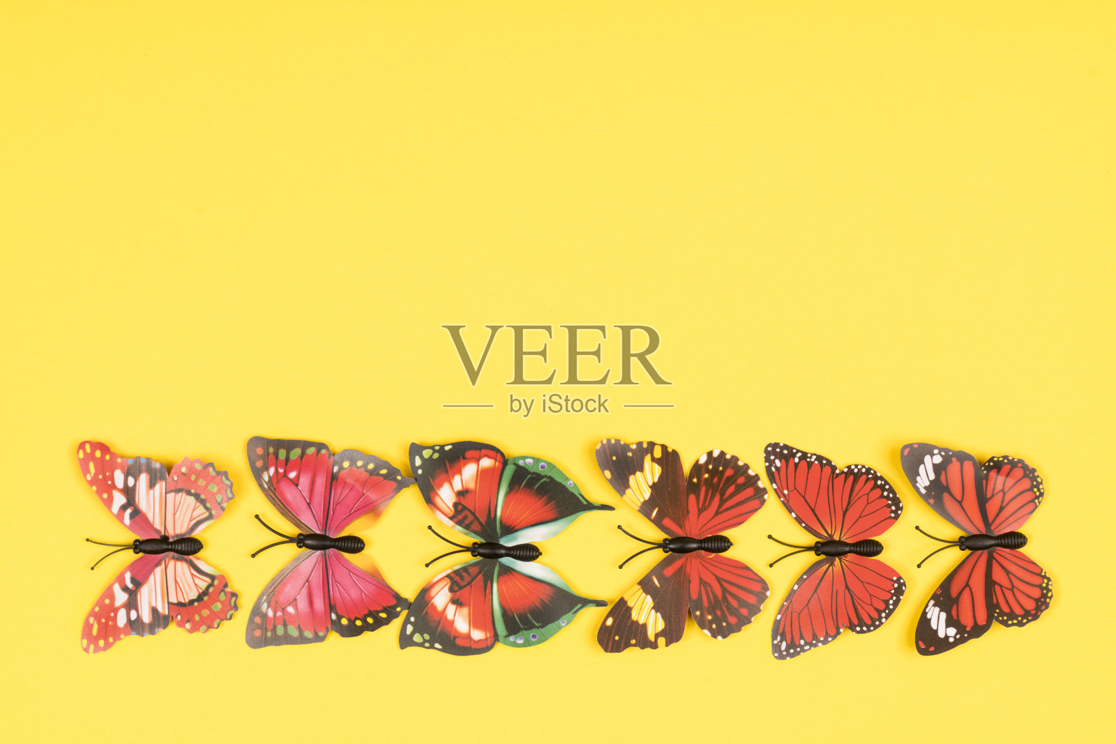 装饰蝴蝶照片摄影图片