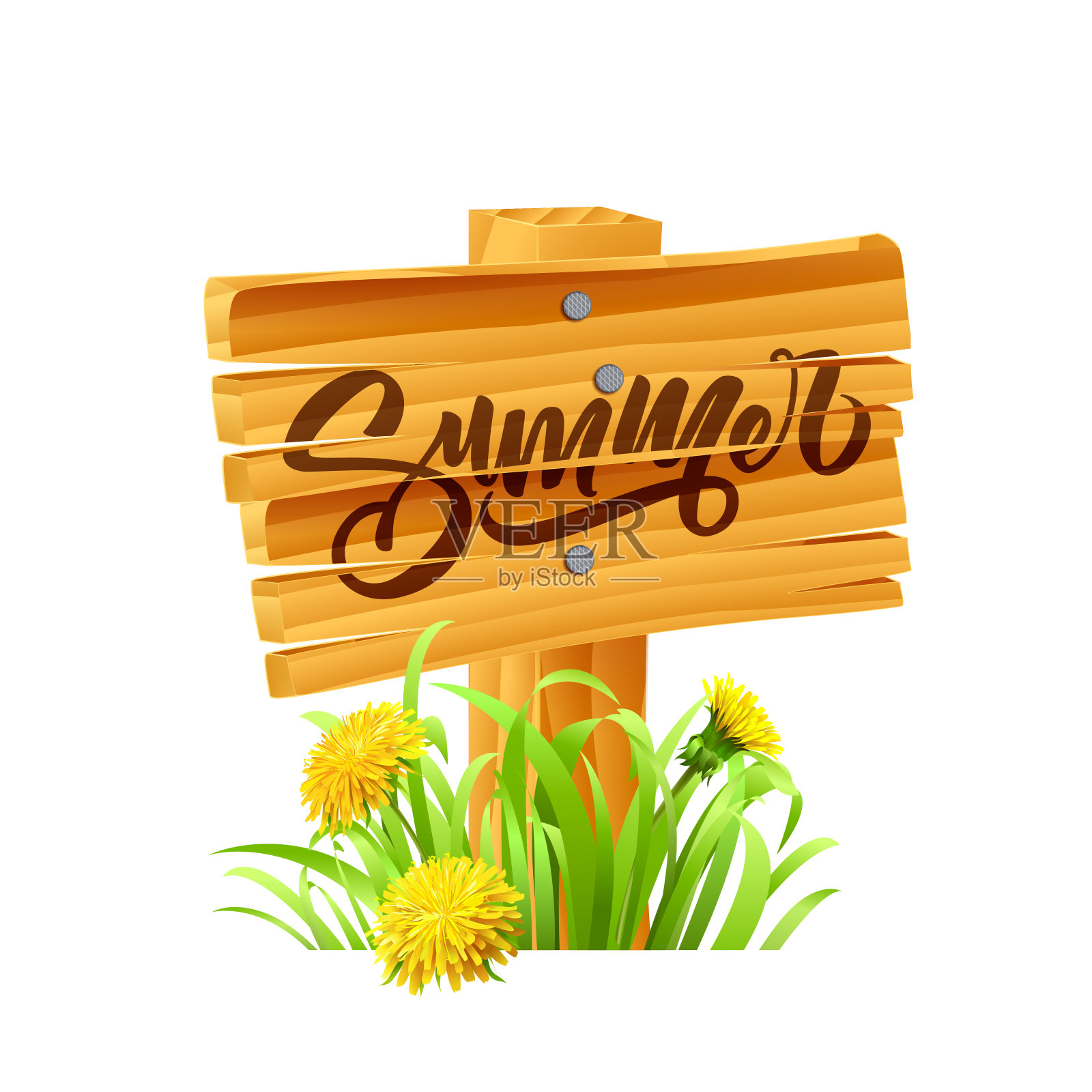 题词夏季的背景与夏季的鲜花和草插画图片素材