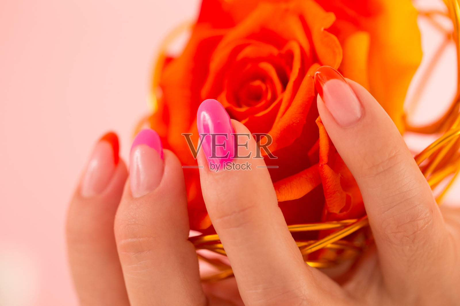 指甲擦亮的女人拿着玫瑰装饰照片摄影图片