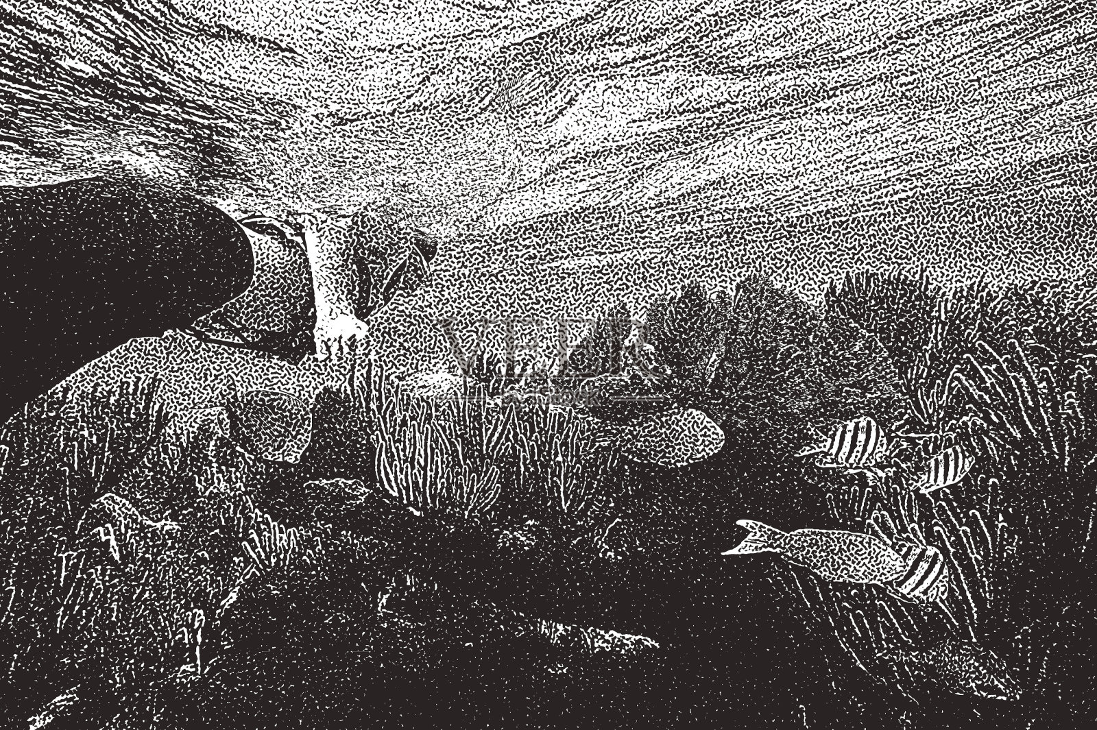 一个年轻人在加勒比海的珊瑚礁上浮潜。插画图片素材