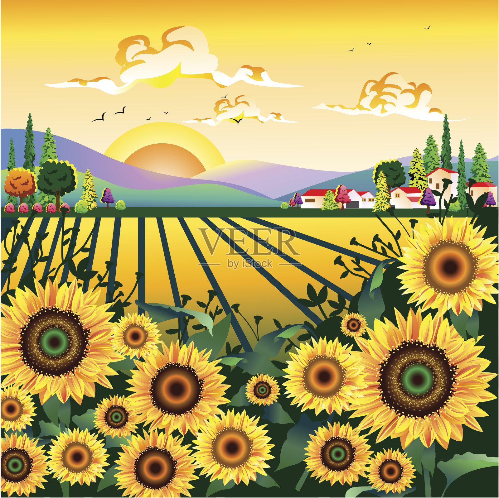 向日葵花园插画图片素材