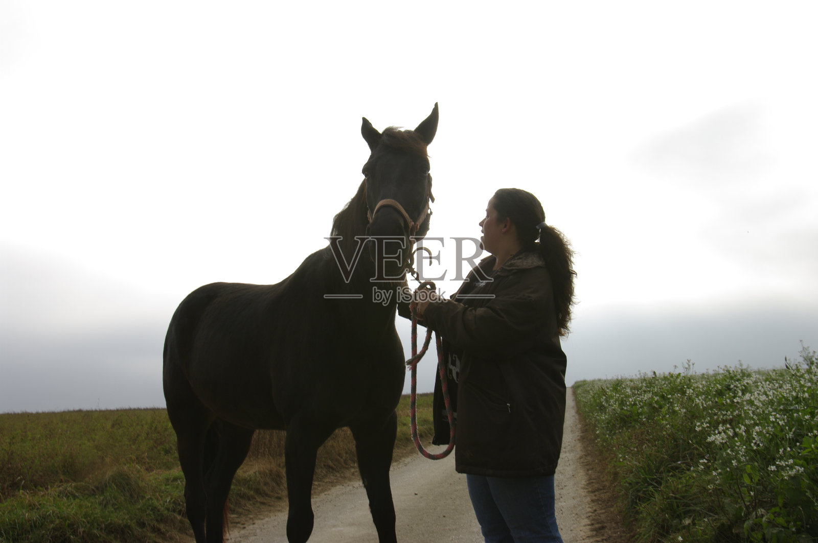 牵着马走的女人照片摄影图片