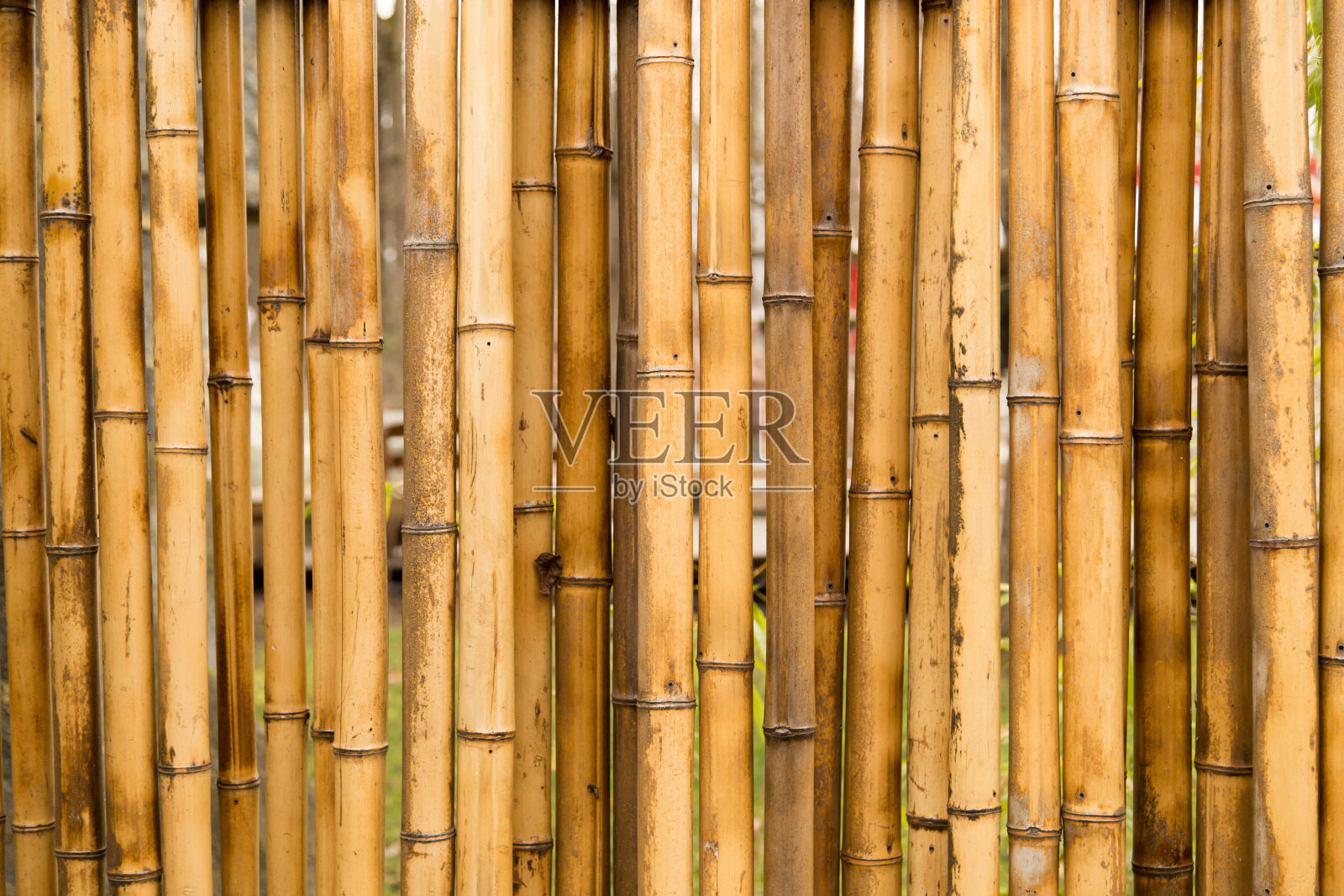 竹篱以竹子为背景的篱笆照片摄影图片