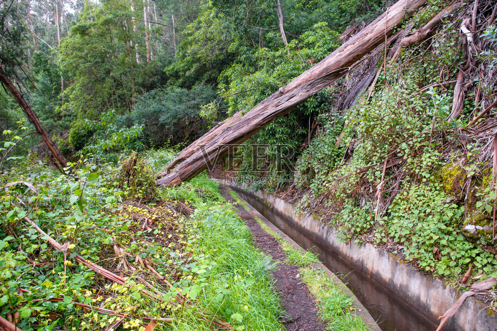 在马德拉徒步旅行照片摄影图片
