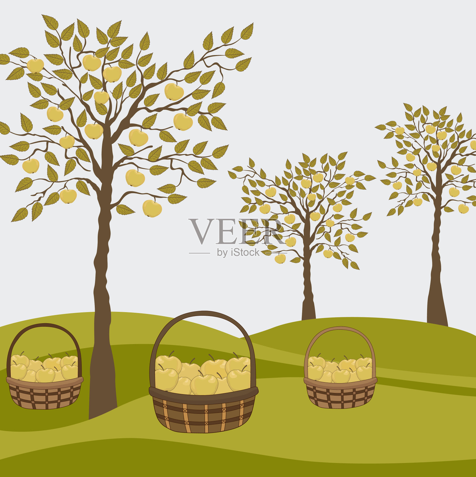 乡村景观有苹果树和装满苹果的篮子插画图片素材