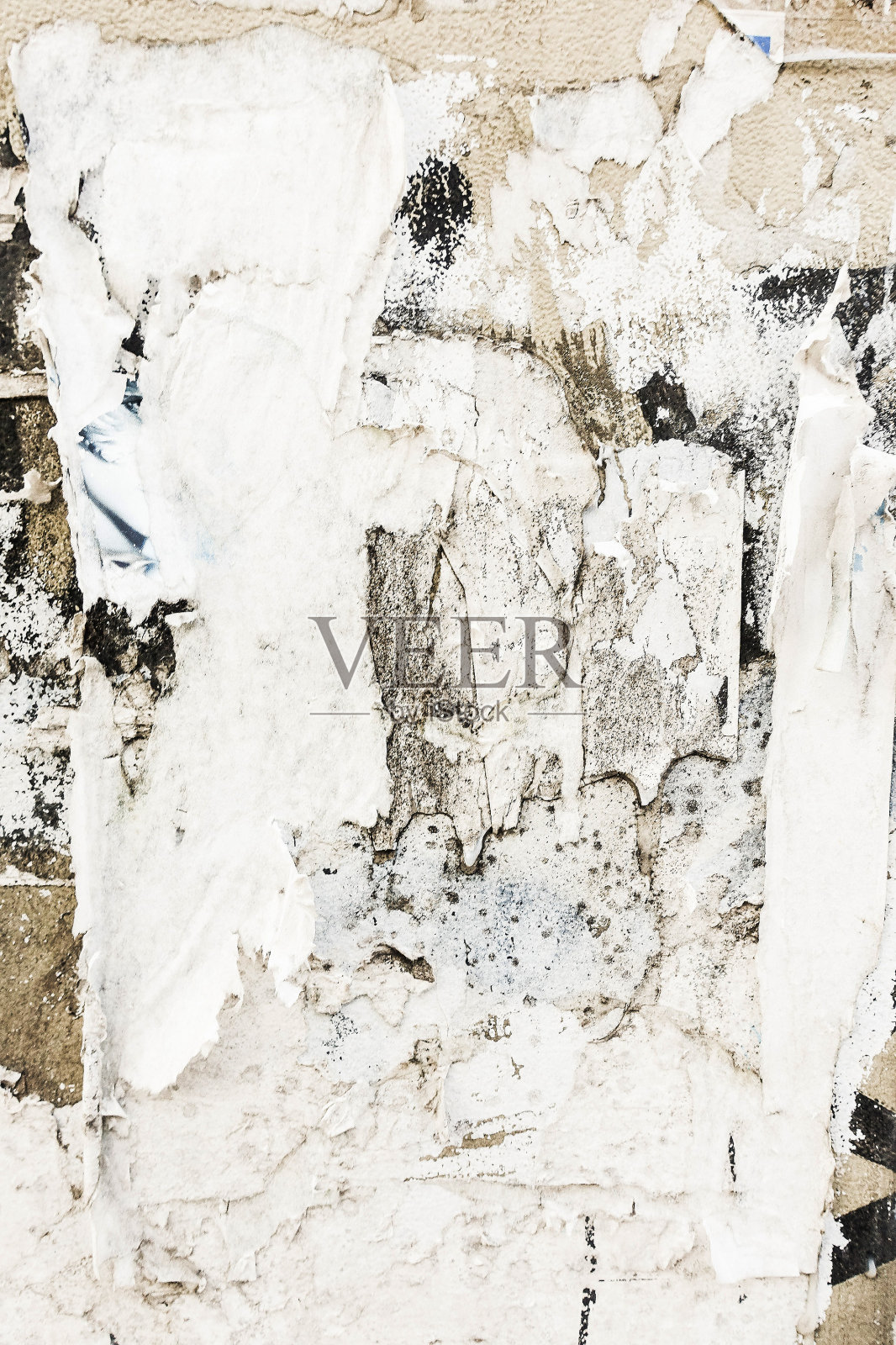 完美的背景照片摄影图片