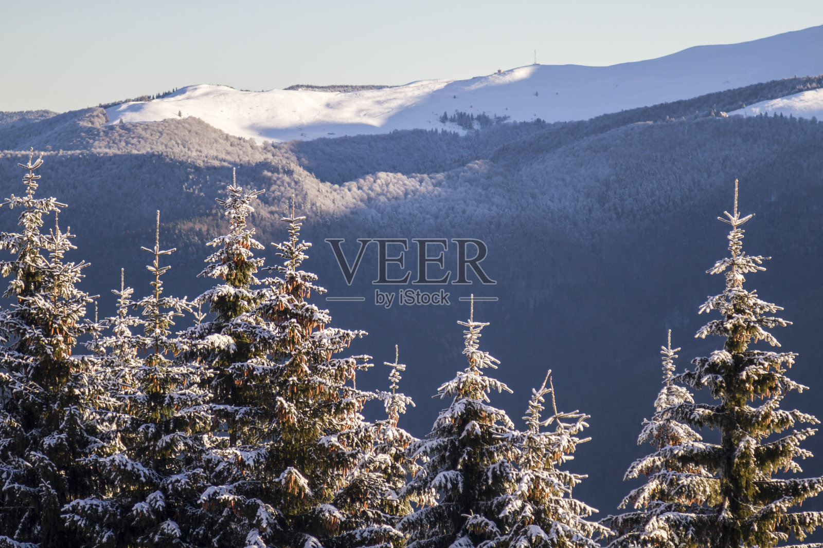 冬季森林山的日出照片摄影图片