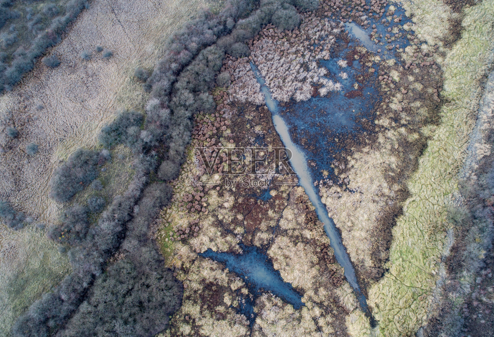 沼泽地区鸟瞰图照片摄影图片