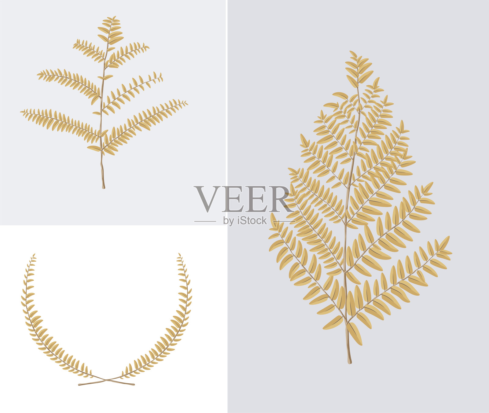 叶子说明对象。向量eps10。插画图片素材