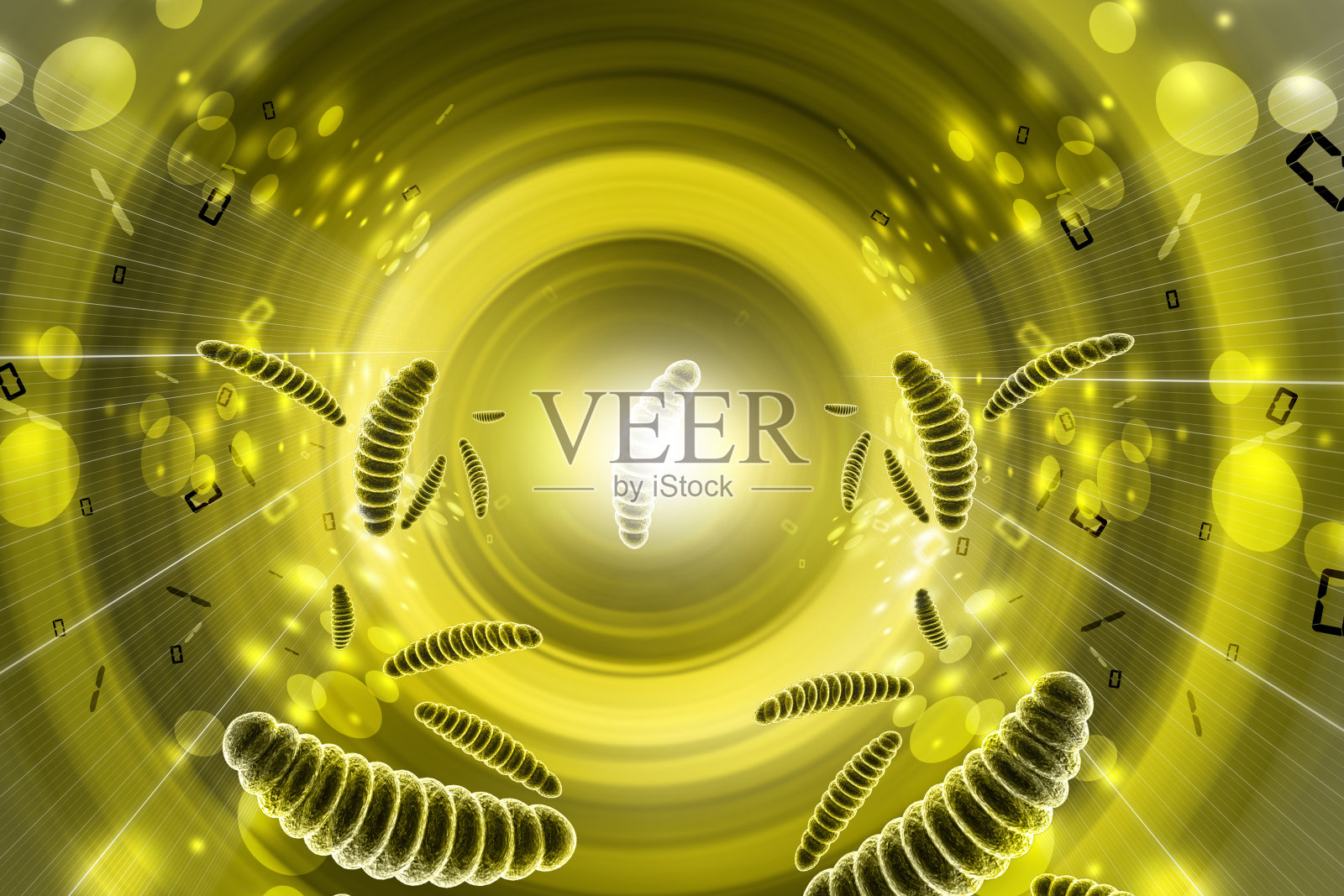 细菌细胞照片摄影图片