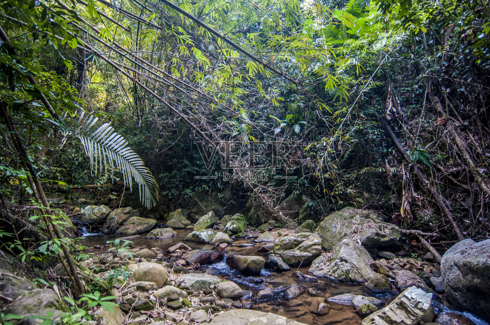 东方景观照片摄影图片