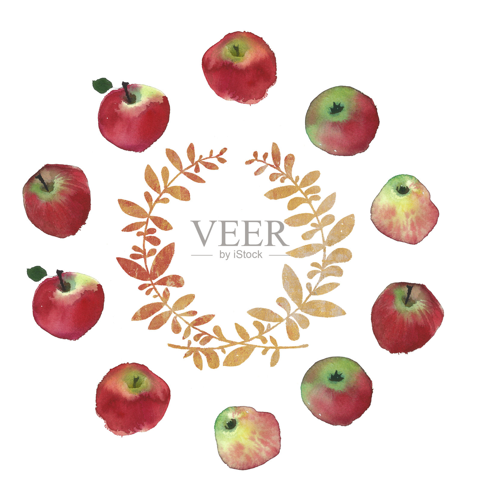 水彩苹果的乡村婚礼形象。自然水彩飞溅画纹理。插画图片素材