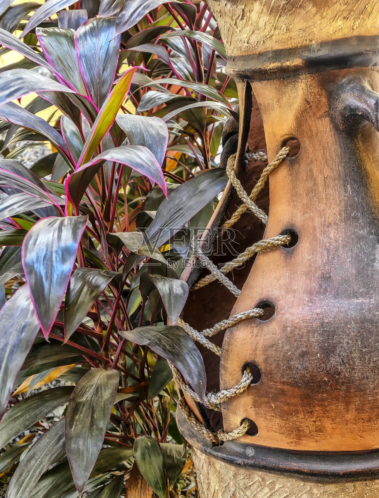 危地马拉-佩特歇尔照片摄影图片