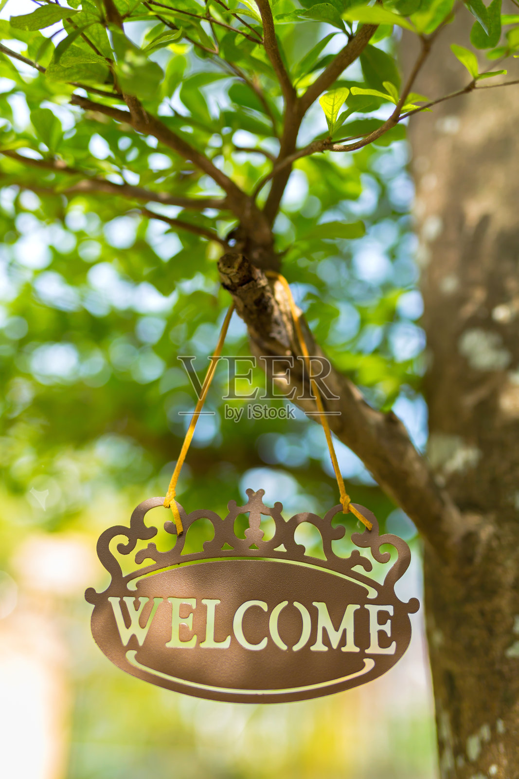 金属欢迎标志挂在花园里的树上照片摄影图片