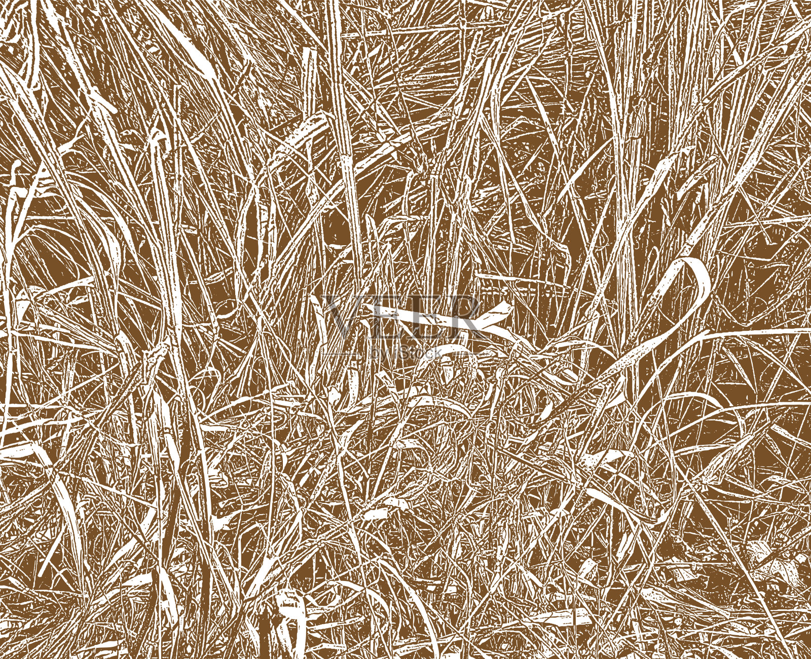 湿地干草特写。早春。乌贼插画图片素材