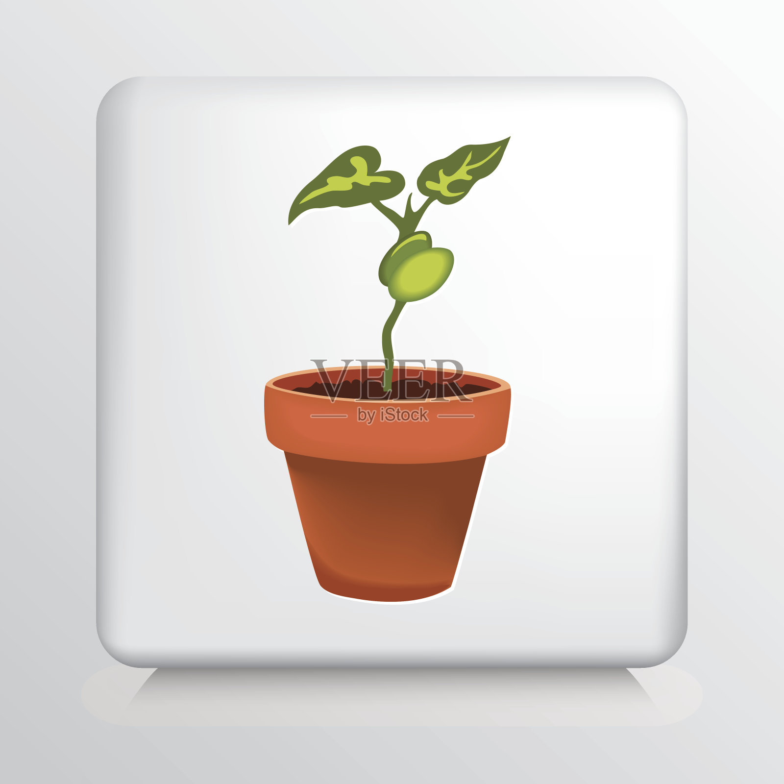 方形图标与赤陶花盆和豆植物设计元素图片