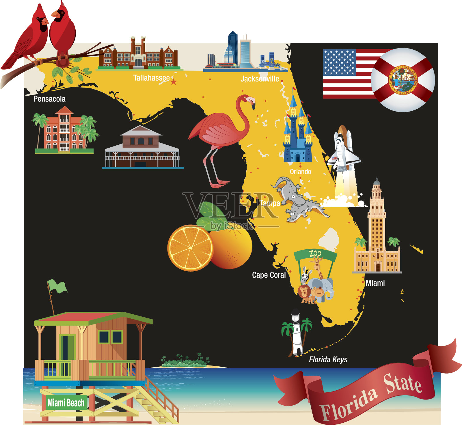佛罗里达卡通地图插画图片素材