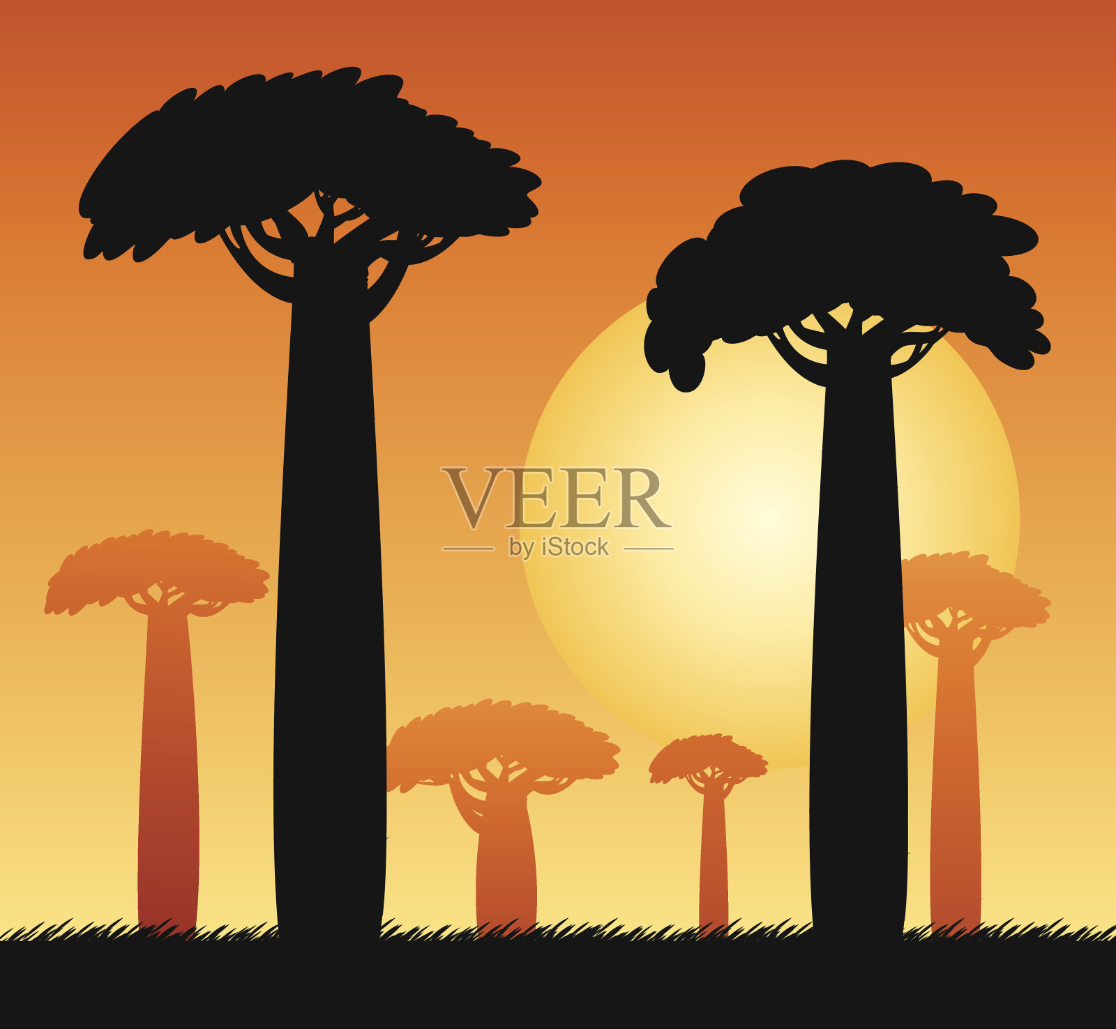 猴面包树树插画图片素材