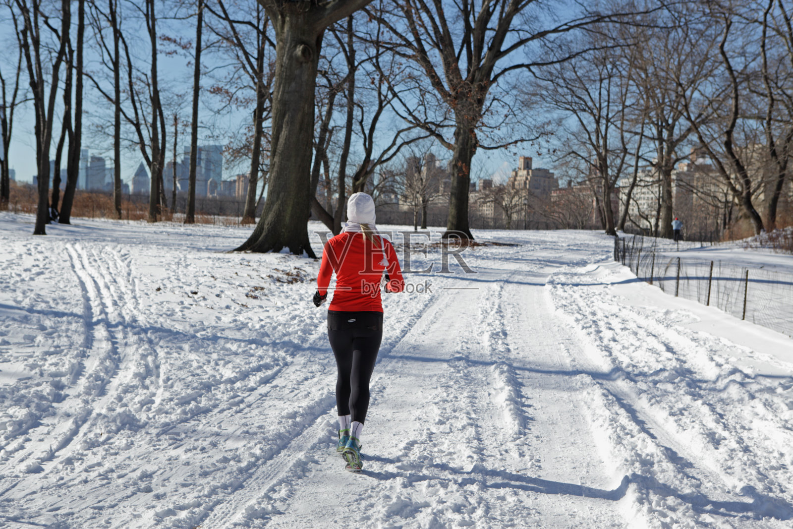 在纽约中央公园的雪地里奔跑照片摄影图片
