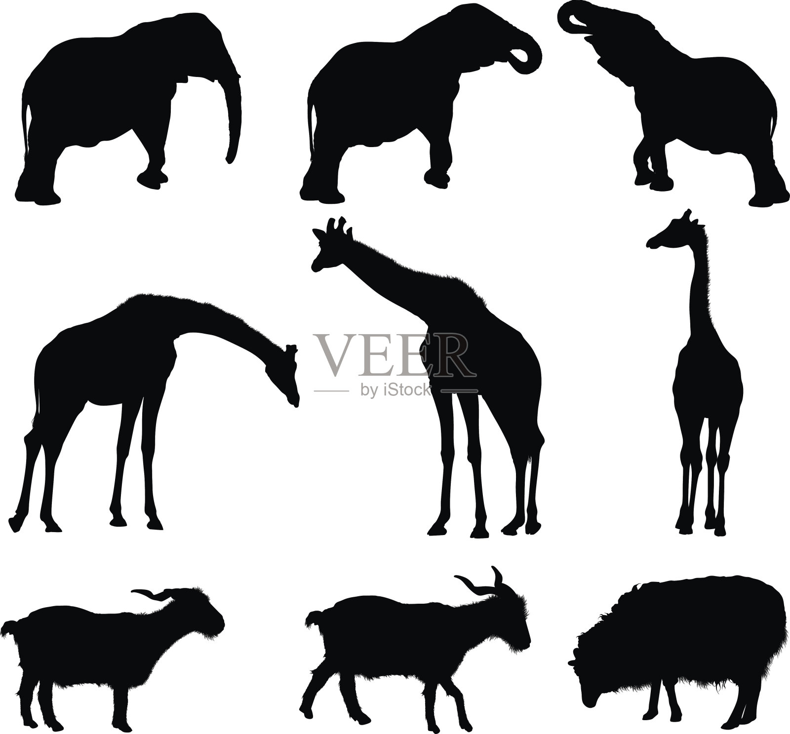 轮廓的动物插画图片素材