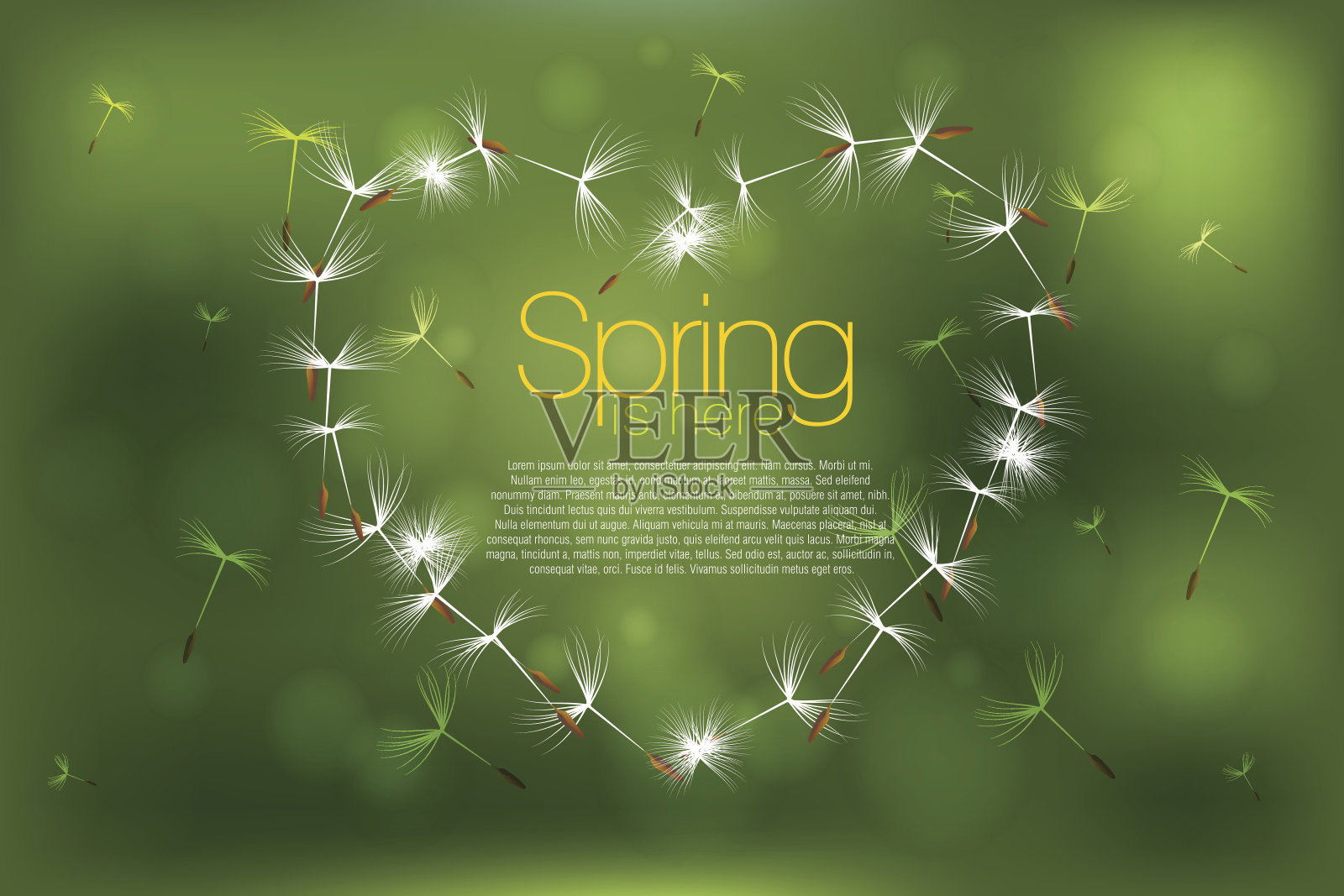 蒲公英插画图片素材