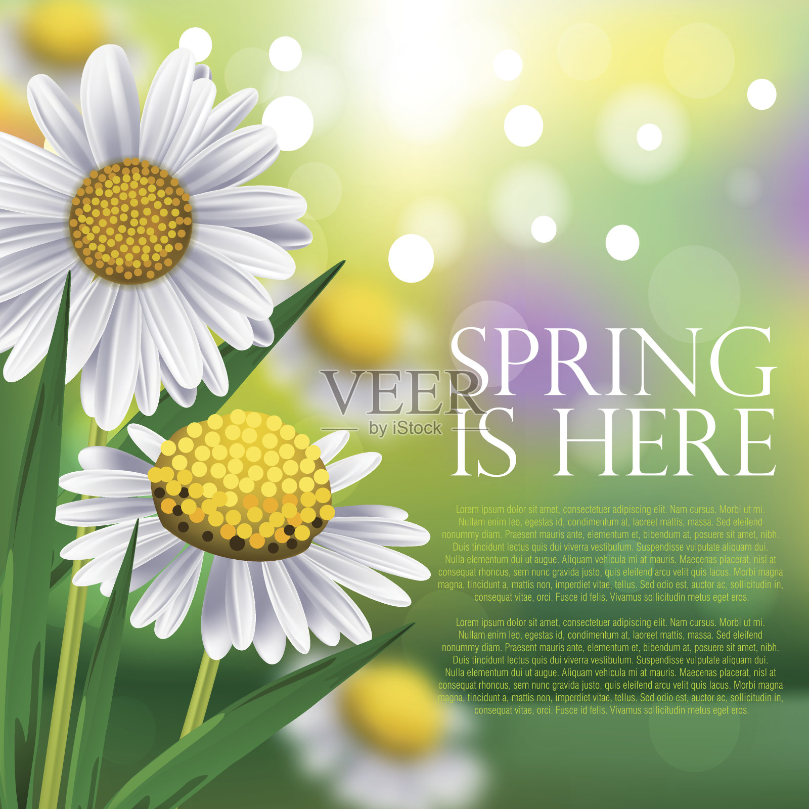 春天的背景插画图片素材